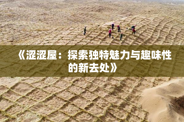 《涩涩屋：探索独特魅力与趣味性的新去处》