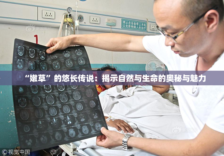 “嫩草”的悠长传说：揭示自然与生命的奥秘与魅力