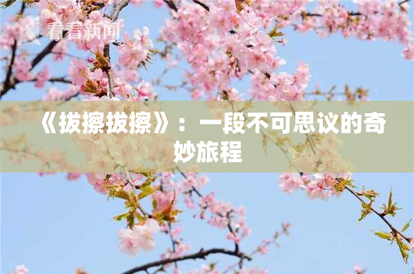《拔擦拔擦》：一段不可思议的奇妙旅程