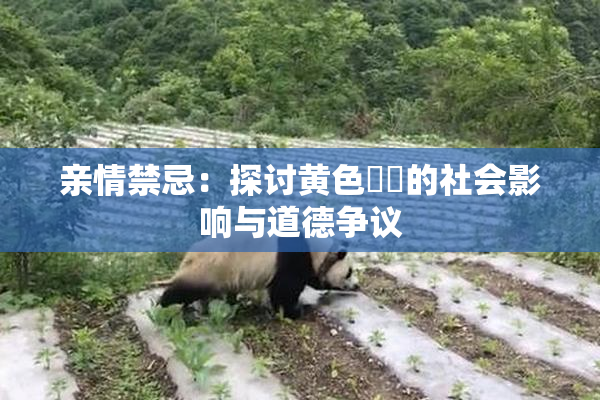 亲情禁忌：探讨黄色亂倫的社会影响与道德争议
