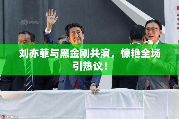 刘亦菲与黑金刚共演，惊艳全场引热议！