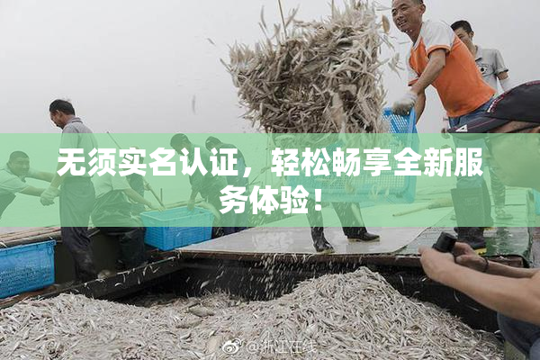 无须实名认证，轻松畅享全新服务体验！