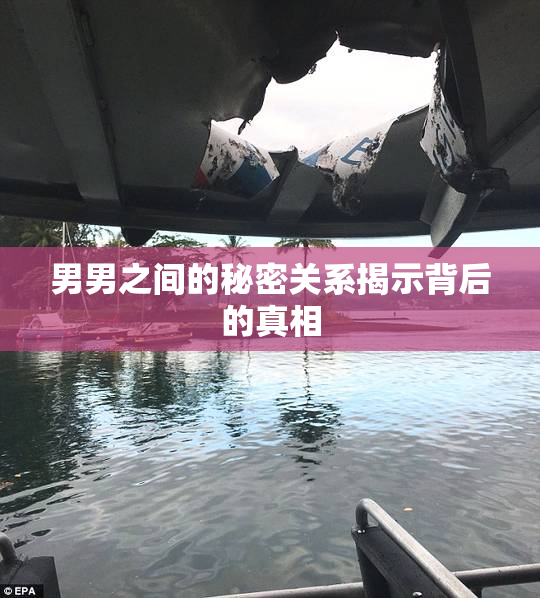 男男之间的秘密关系揭示背后的真相
