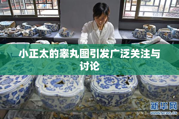 小正太的睾丸图引发广泛关注与讨论
