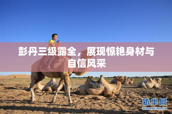 彭丹三级露全，展现惊艳身材与自信风采