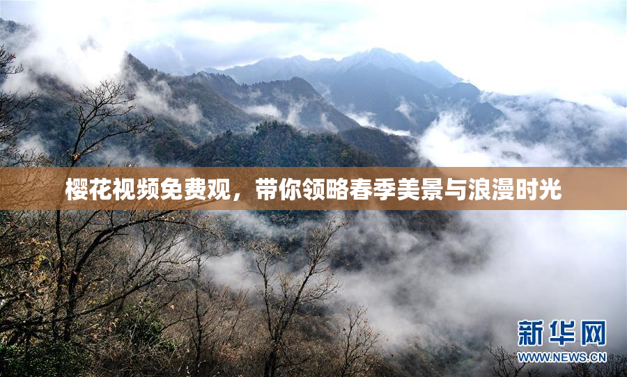 樱花视频免费观，带你领略春季美景与浪漫时光