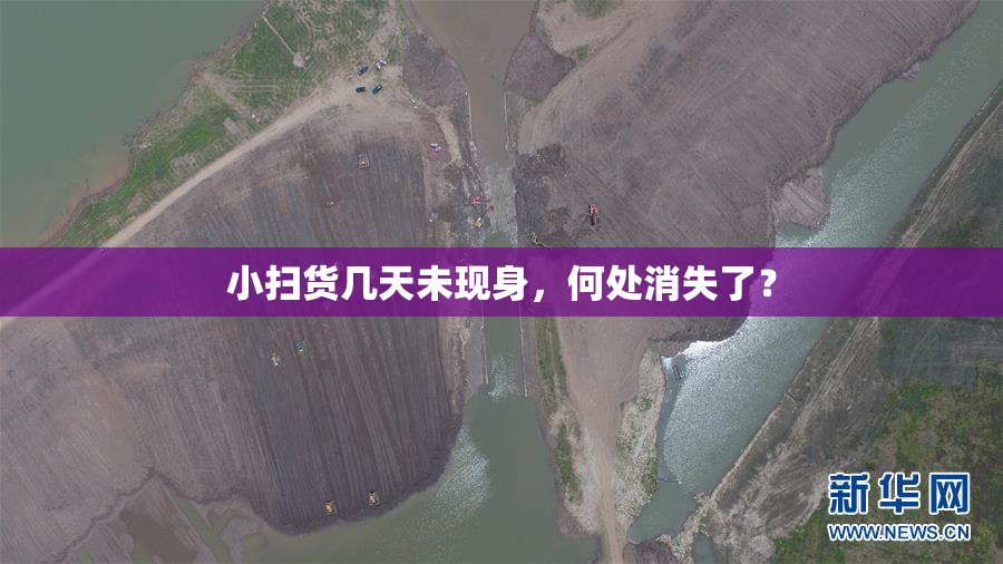 小扫货几天未现身，何处消失了？