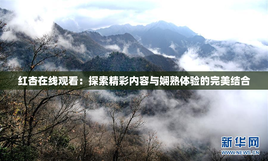 红杏在线观看：探索精彩内容与娴熟体验的完美结合