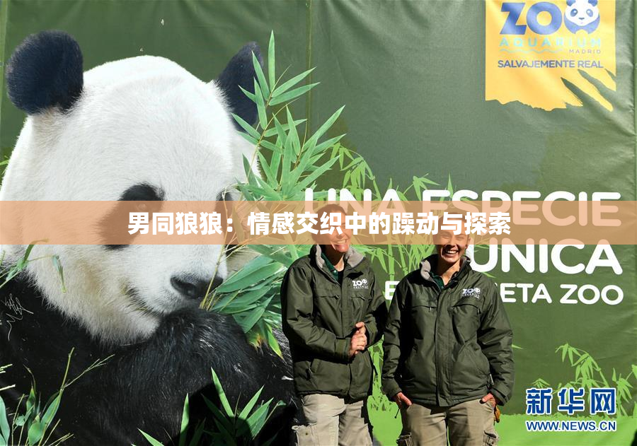 男同狼狼：情感交织中的躁动与探索