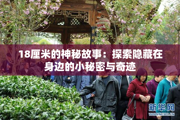 18厘米的神秘故事：探索隐藏在身边的小秘密与奇迹