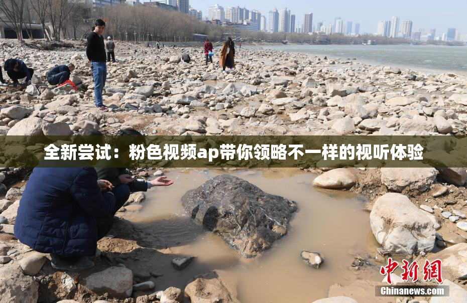 全新尝试：粉色视频ap带你领略不一样的视听体验