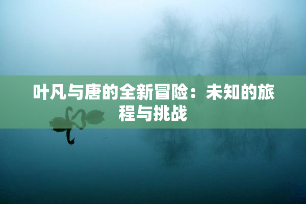 叶凡与唐的全新冒险：未知的旅程与挑战