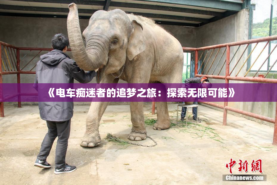 《电车痴迷者的追梦之旅：探索无限可能》