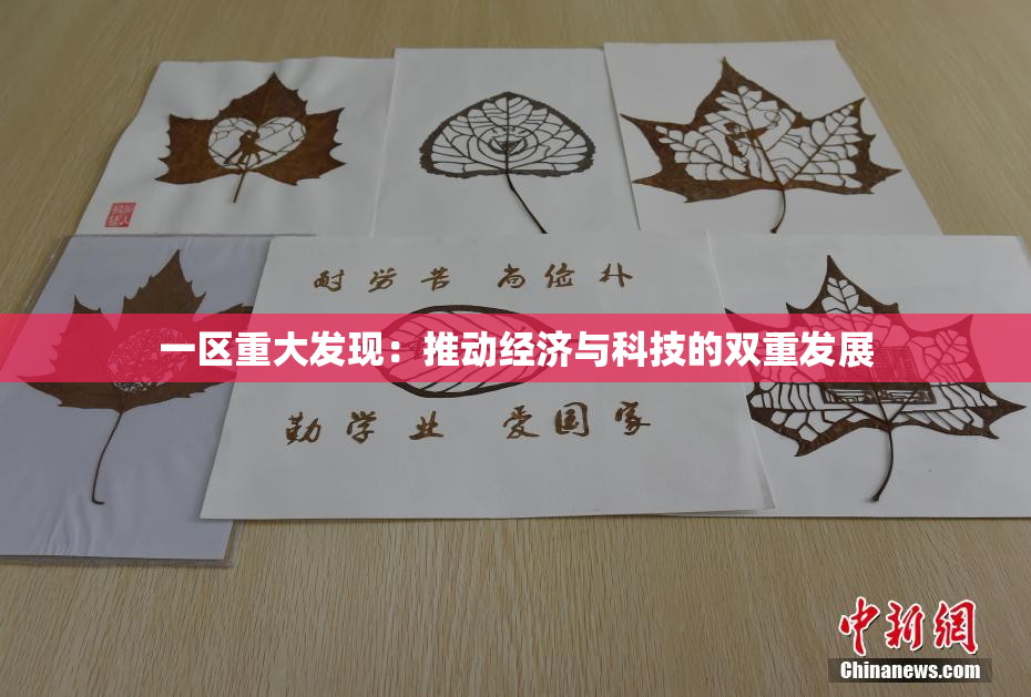 一区重大发现：推动经济与科技的双重发展