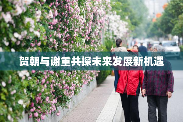 贺朝与谢重共探未来发展新机遇