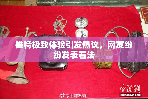 推特极致体验引发热议，网友纷纷发表看法