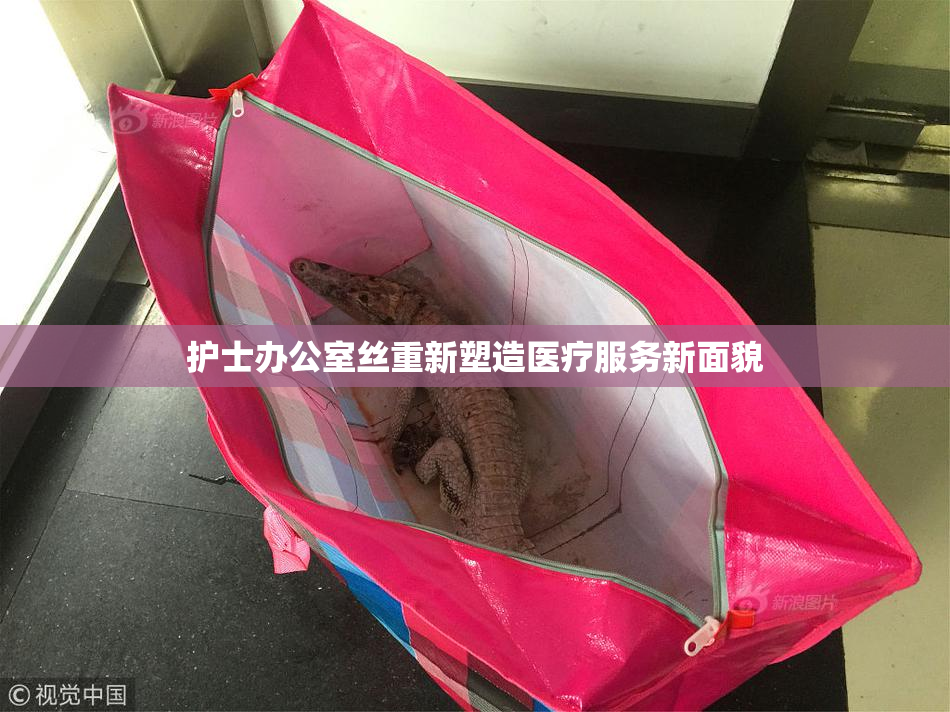 护士办公室丝重新塑造医疗服务新面貌