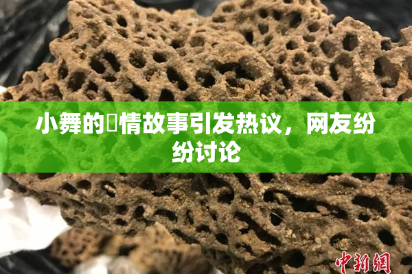 小舞的婬情故事引发热议，网友纷纷讨论