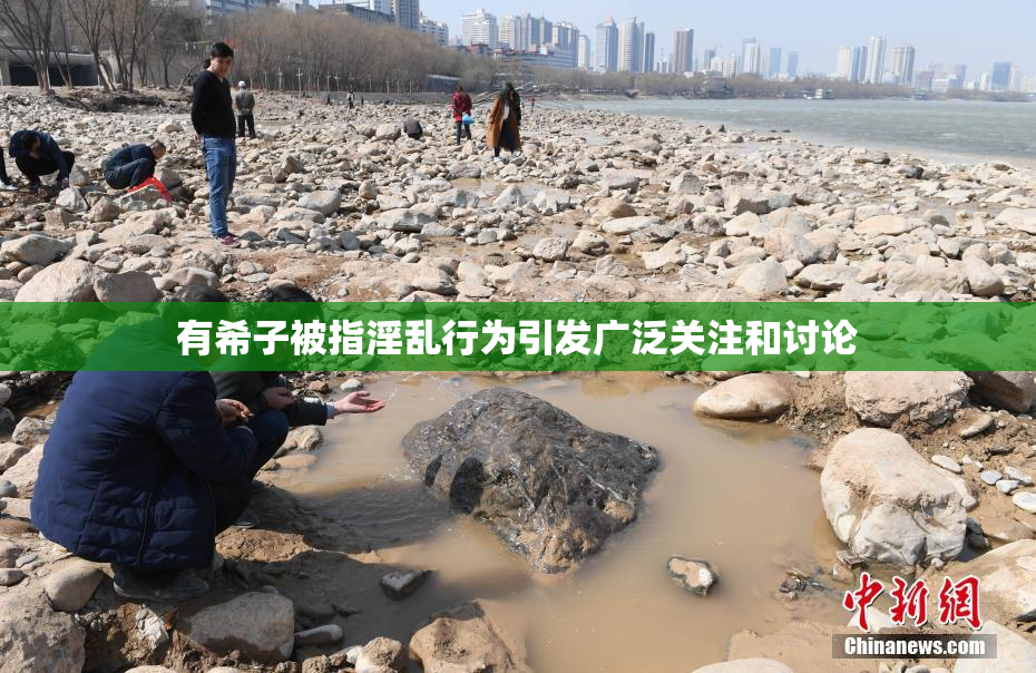 有希子被指淫乱行为引发广泛关注和讨论