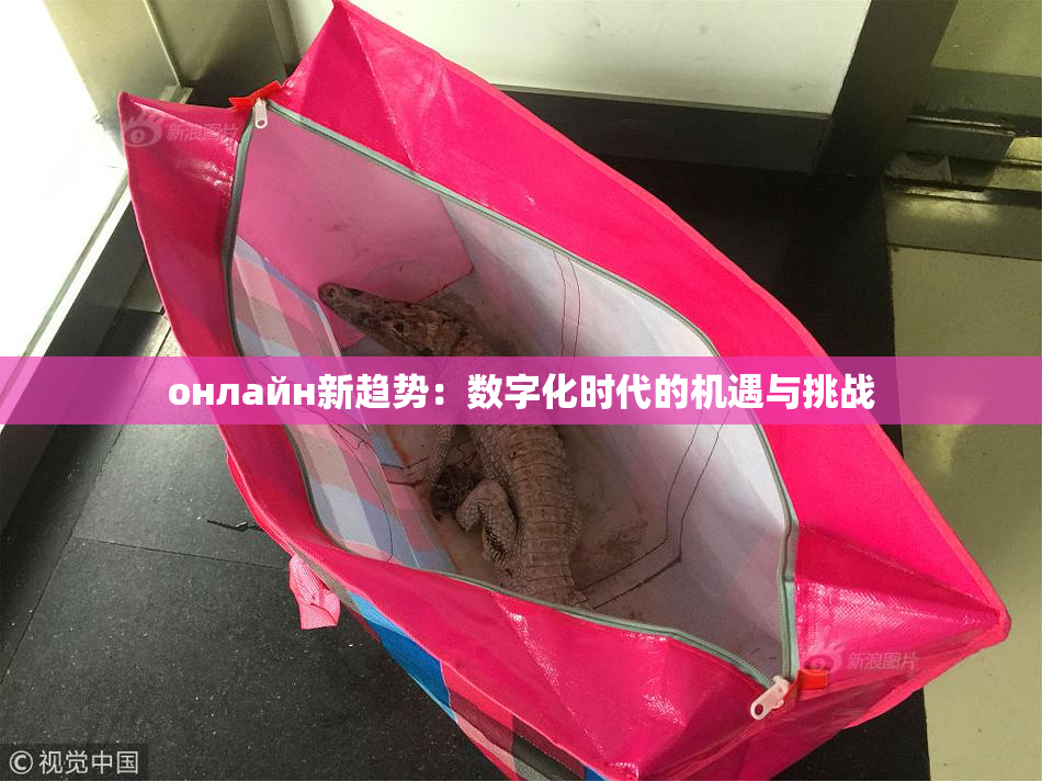 онлайн新趋势：数字化时代的机遇与挑战