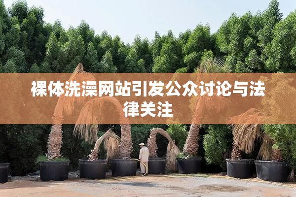 裸体洗澡网站引发公众讨论与法律关注