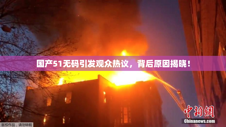 国产51无码引发观众热议，背后原因揭晓！