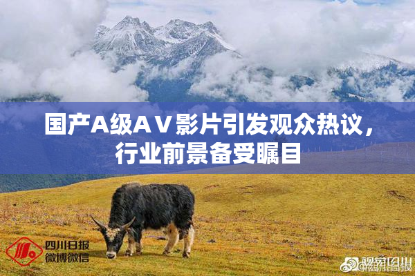 国产A级AⅤ影片引发观众热议，行业前景备受瞩目