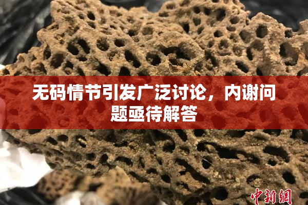 无码情节引发广泛讨论，内谢问题亟待解答