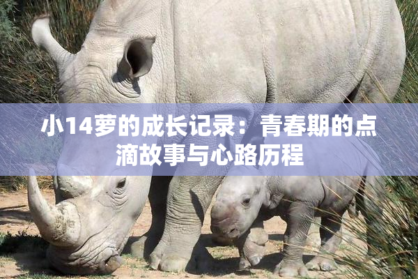 小14萝的成长记录：青春期的点滴故事与心路历程