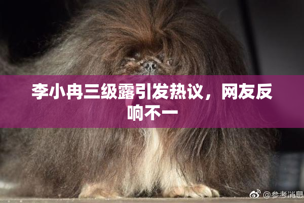 李小冉三级露引发热议，网友反响不一