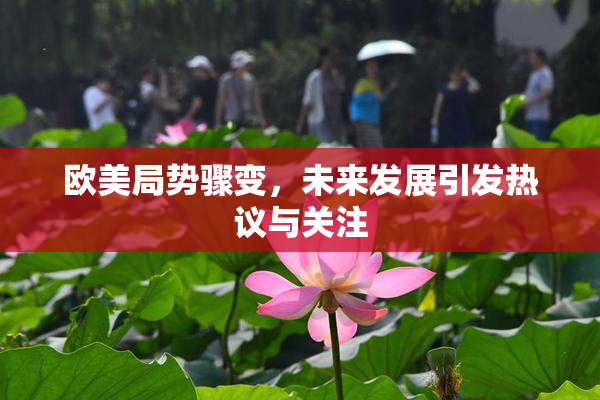 欧美局势骤变，未来发展引发热议与关注
