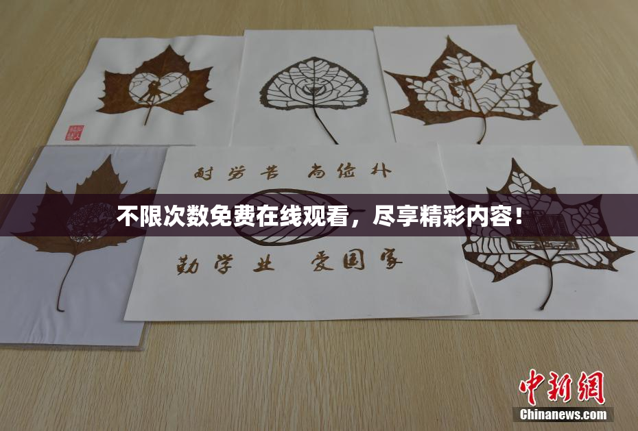 不限次数免费在线观看，尽享精彩内容！