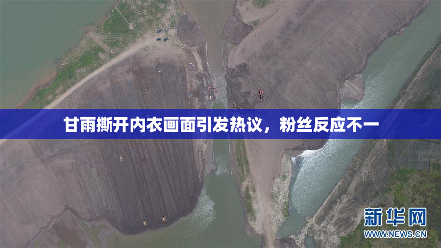 甘雨撕开内衣画面引发热议，粉丝反应不一