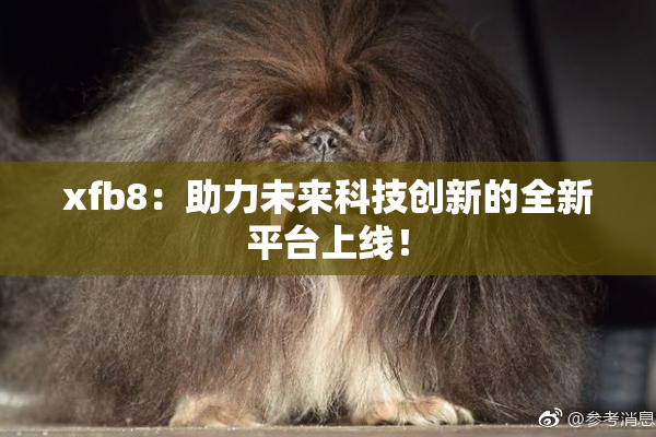 xfb8：助力未来科技创新的全新平台上线！