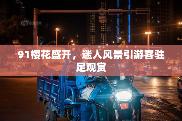 91樱花盛开，迷人风景引游客驻足观赏