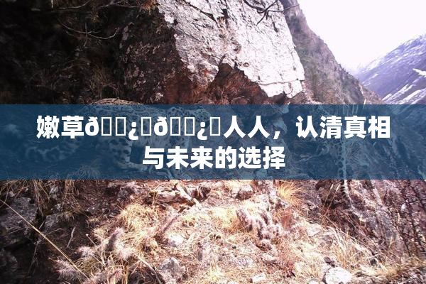 嫩草🌿‌🌿‌人人，认清真相与未来的选择