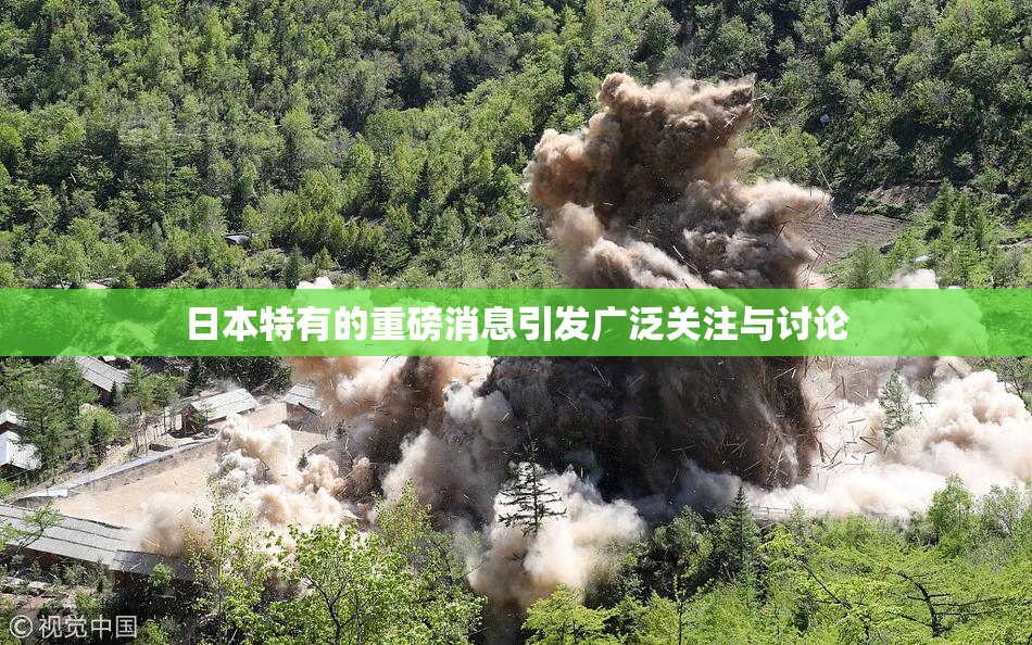 日本特有的重磅消息引发广泛关注与讨论