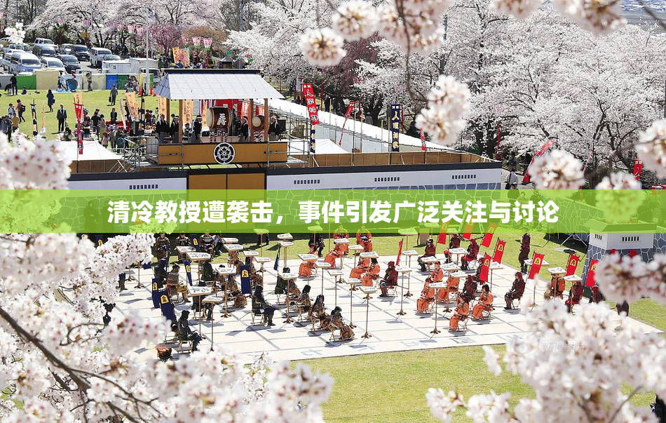 清冷教授遭袭击，事件引发广泛关注与讨论
