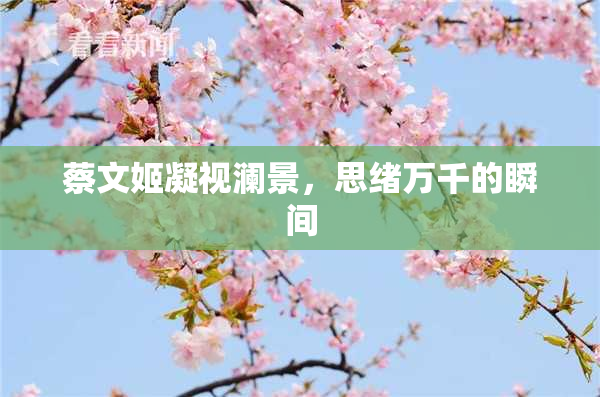 蔡文姬凝视澜景，思绪万千的瞬间