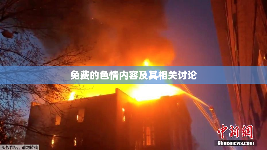 免费的色情内容及其相关讨论