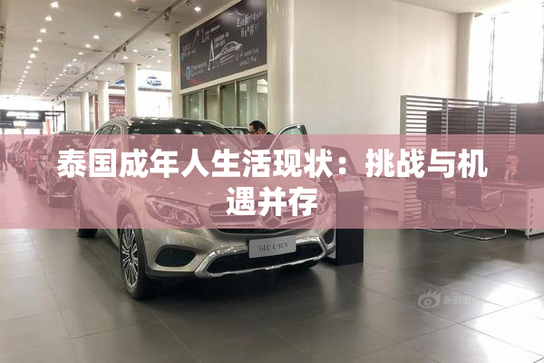 泰国成年人生活现状：挑战与机遇并存