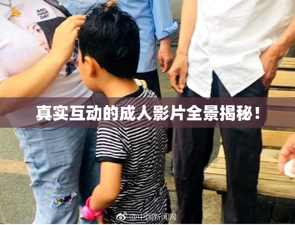 真实互动的成人影片全景揭秘！
