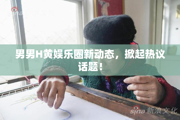 男男H黄娱乐圈新动态，掀起热议话题！
