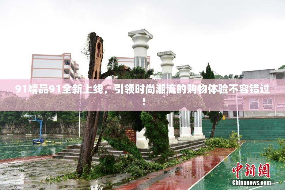 91精品91全新上线，引领时尚潮流的购物体验不容错过！