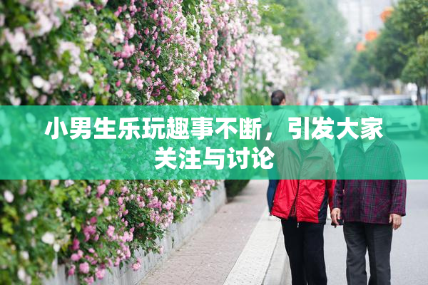 小男生乐玩趣事不断，引发大家关注与讨论
