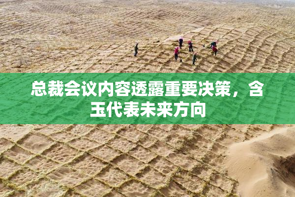 总裁会议内容透露重要决策，含玉代表未来方向