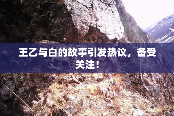王乙与白的故事引发热议，备受关注！