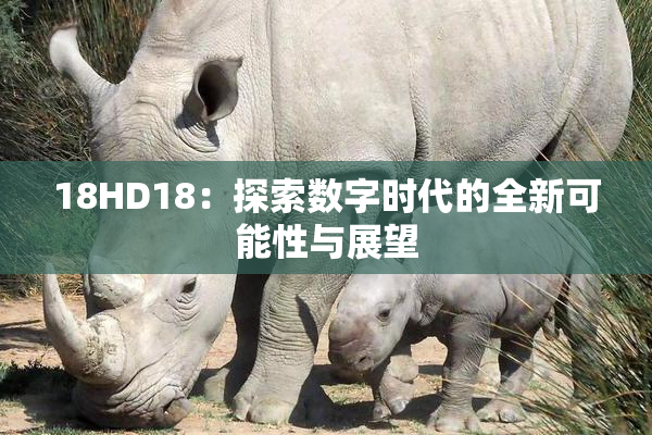 18HD18：探索数字时代的全新可能性与展望