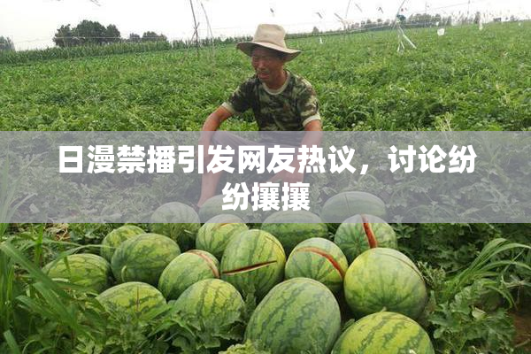 日漫禁播引发网友热议，讨论纷纷攘攘