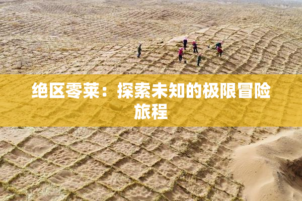 绝区零莱：探索未知的极限冒险旅程
